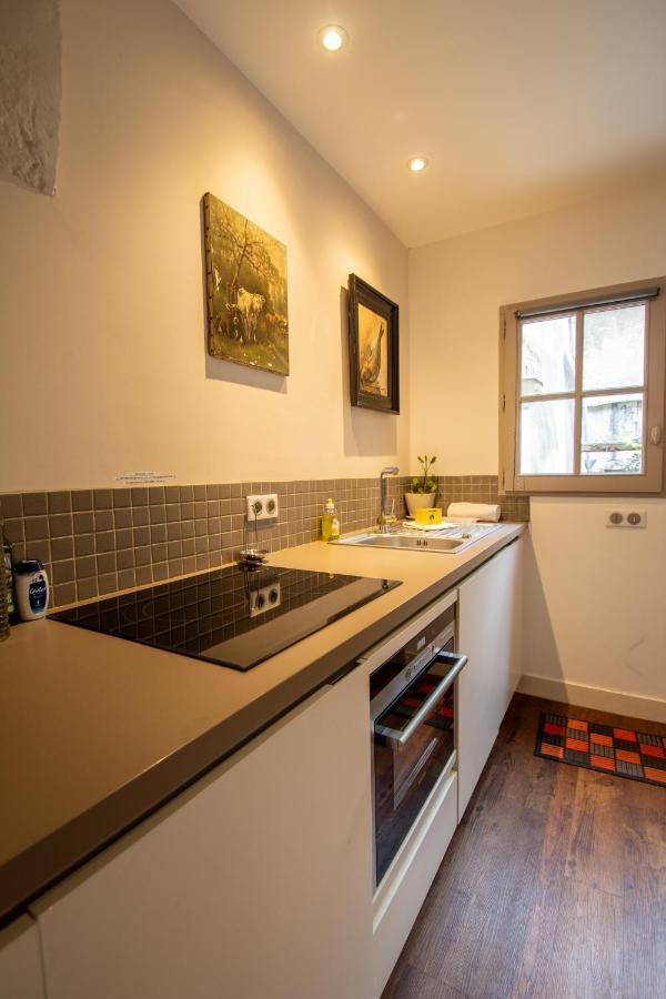 Terrasse Sur La Tour Garconnet Apartment Amboise Ngoại thất bức ảnh