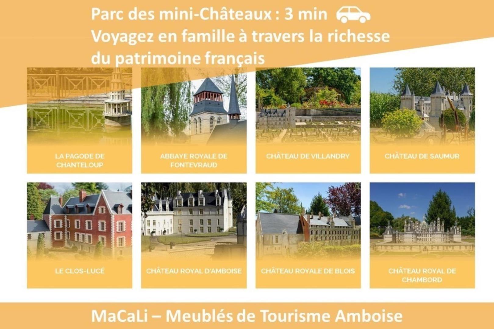 Terrasse Sur La Tour Garconnet Apartment Amboise Ngoại thất bức ảnh