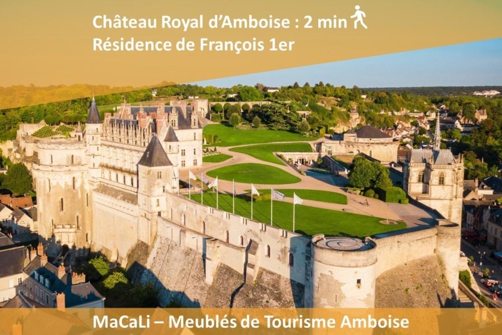 Terrasse Sur La Tour Garconnet Apartment Amboise Ngoại thất bức ảnh