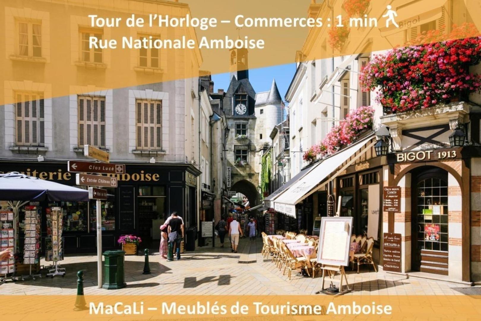 Terrasse Sur La Tour Garconnet Apartment Amboise Ngoại thất bức ảnh